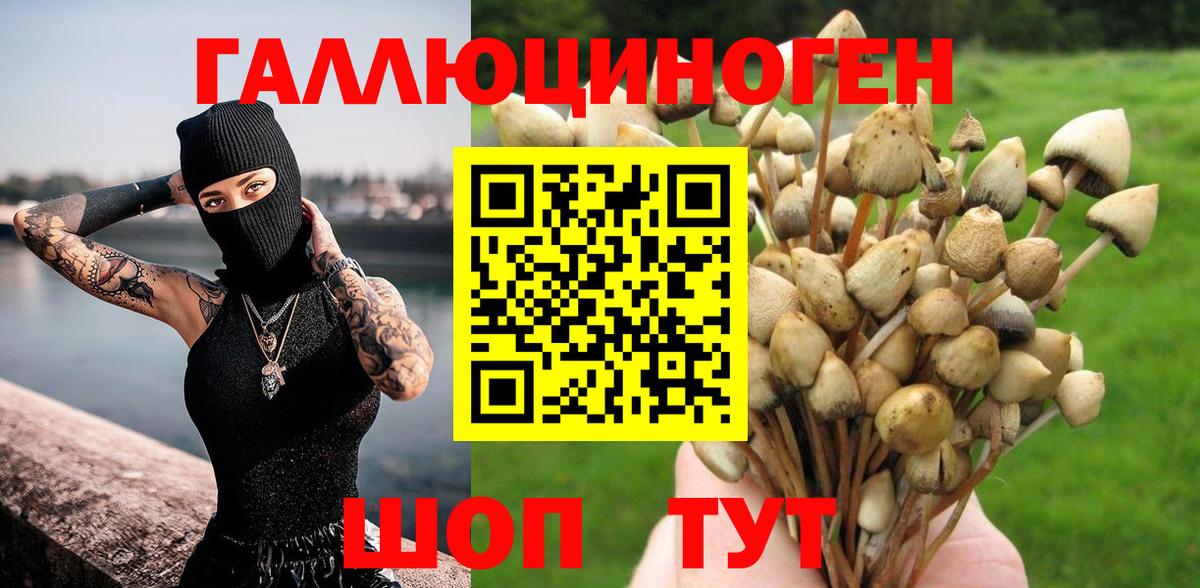 Псилоцибиновые грибы Magic Shrooms  Вход с VPN  Осинники  продажа наркотиков  Галлюциногенные грибы мухоморы 